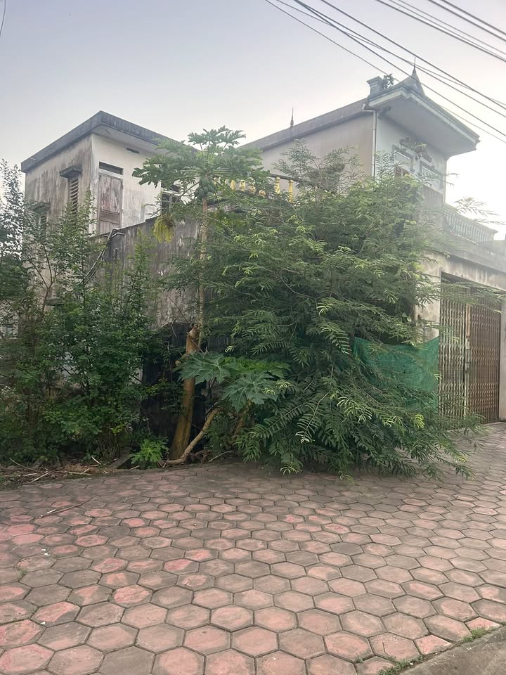 Đất mặt đường Quang Sơn, Tam Điệp 151m² chỉ 2 tỷ - Cơ hội đầu tư tuyệt vời!