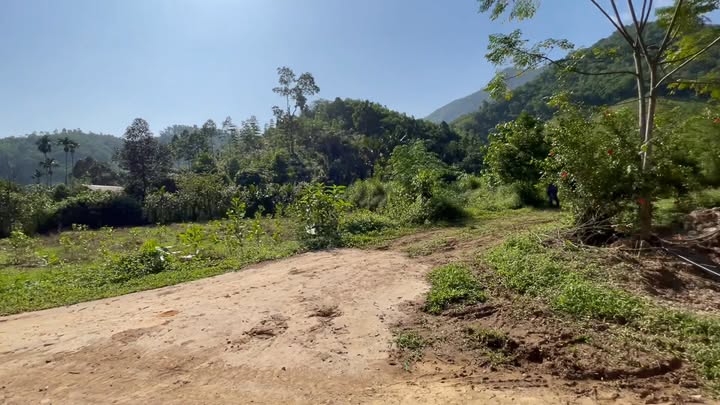 Đất nghỉ dưỡng 4.700m² tại Đồng Lạc, Yên Lập - Giá chỉ 1 tỷ VND!