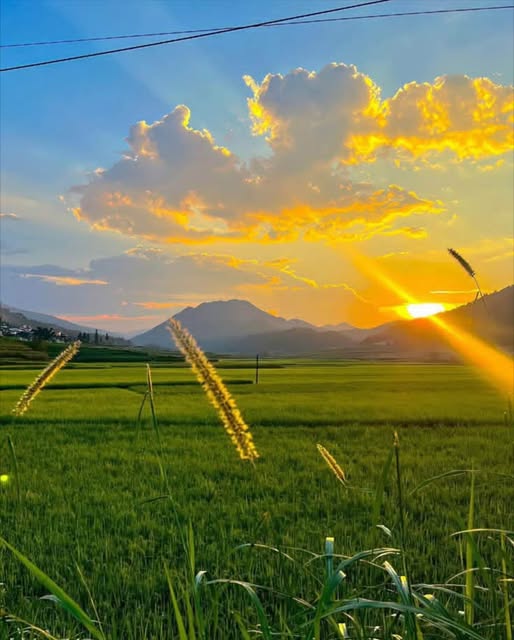 Đất mặt tiền Ngõ ô tô tránh nhau Bồ Xuyên 80m² - Kinh doanh tuyệt vời!