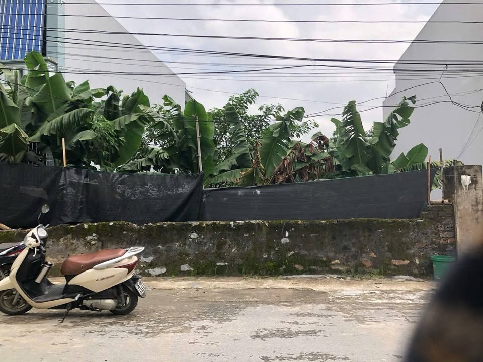 Lô đất đẹp trục đường xã Đông Lĩnh, huyện Đông Sơn - 253m² giá chỉ 4 tỷ!