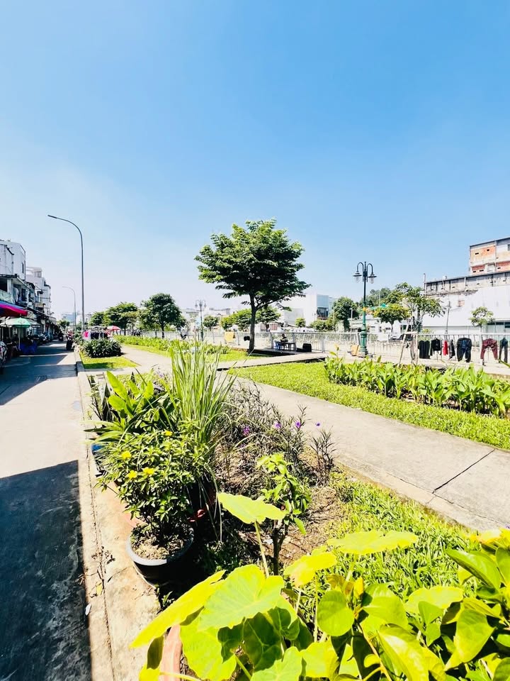 Nhà Mặt Tiền View Sông Đường Ụ Cây P10 Quận 8 26m² giá chỉ 2.45 tỷ - Cơ hội đầu tư tuyệt vời!