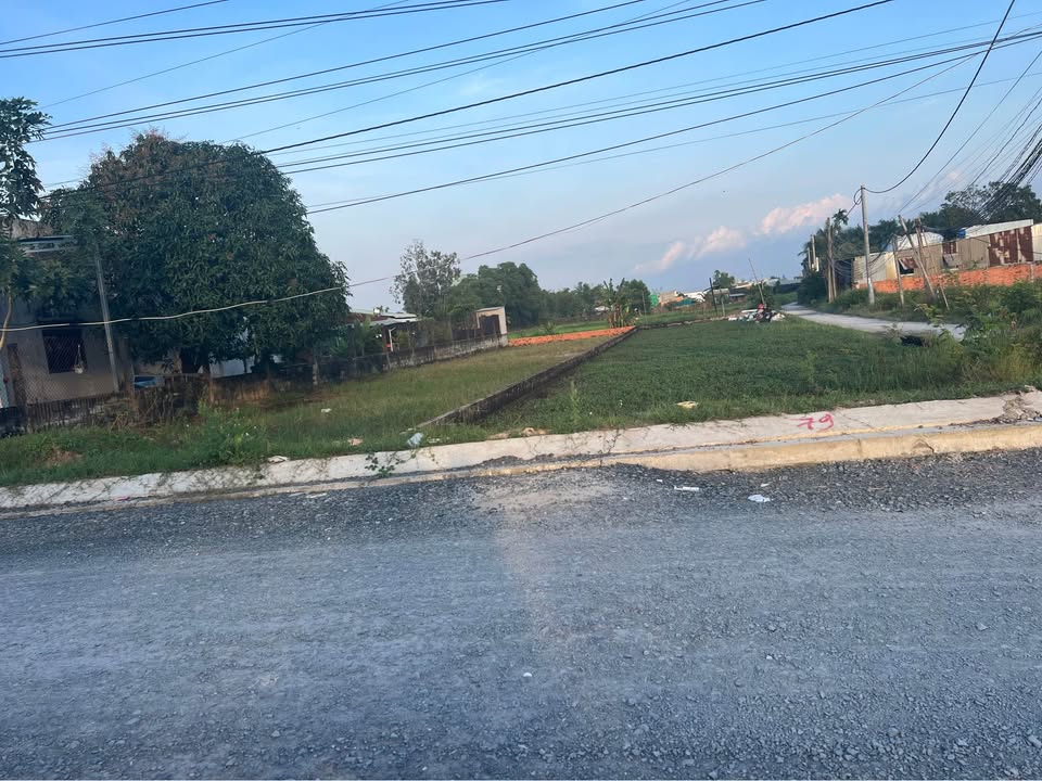 Đất mặt tiền kinh doanh Nhựa Óc Eo, Đức Hoà 1000m² giá 15 tỷ - Đầu tư sinh lời ngay!