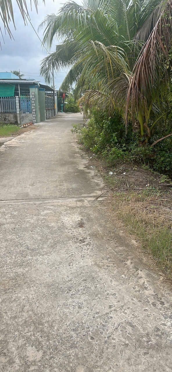 Đất nông nghiệp Vĩnh Công, Châu Thành, Tây Ninh 1000m² - Giá chỉ 1.3 tỷ!