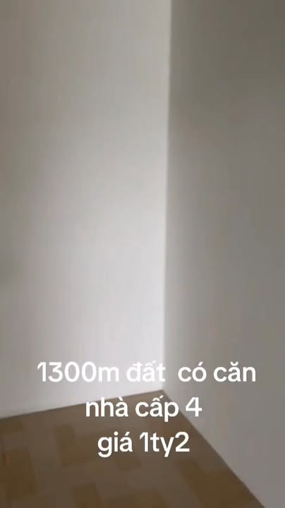 Đất lúa 1300m² tại Vàm Cỏ, Tân Trụ chỉ 1.2 tỷ - Hướng Đông, nền cao ráo!