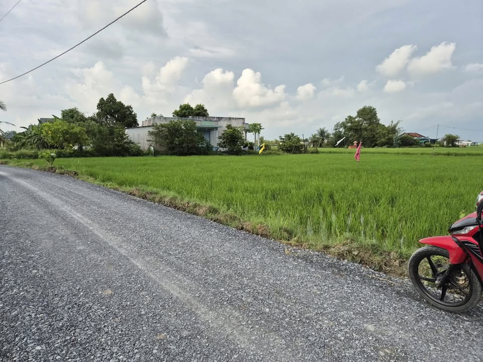 Đất nền 1559m² xã Phước Tuy, Cần Đước - Giá chỉ 2.65 tỷ, sổ hồng chính chủ!