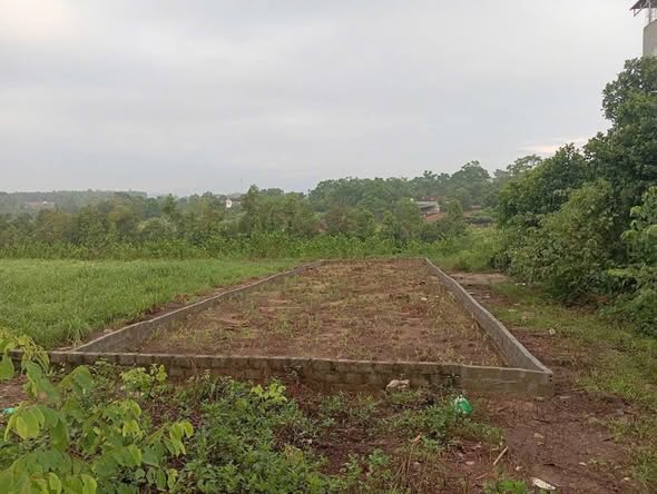 Đất mặt đường kinh doanh Tân Thành, Ba Vì 196m² giá 2 tỷ - Vị trí đắc địa!