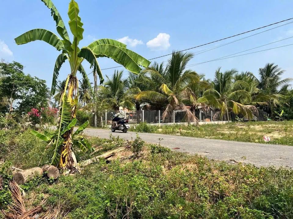 Đất nền Ấp Bến Cầu, Châu Thành, Tây Ninh 525m² giá 299 triệu - Cơ hội đầu tư hấp dẫn!