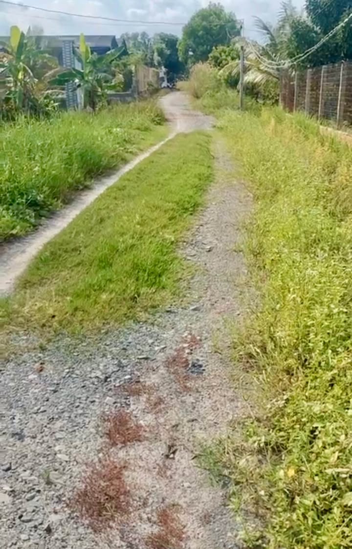 Đất vườn Trường Đông, Hòa Thành 3000m² giá 960 triệu - Đầu tư sinh lời bền vững!