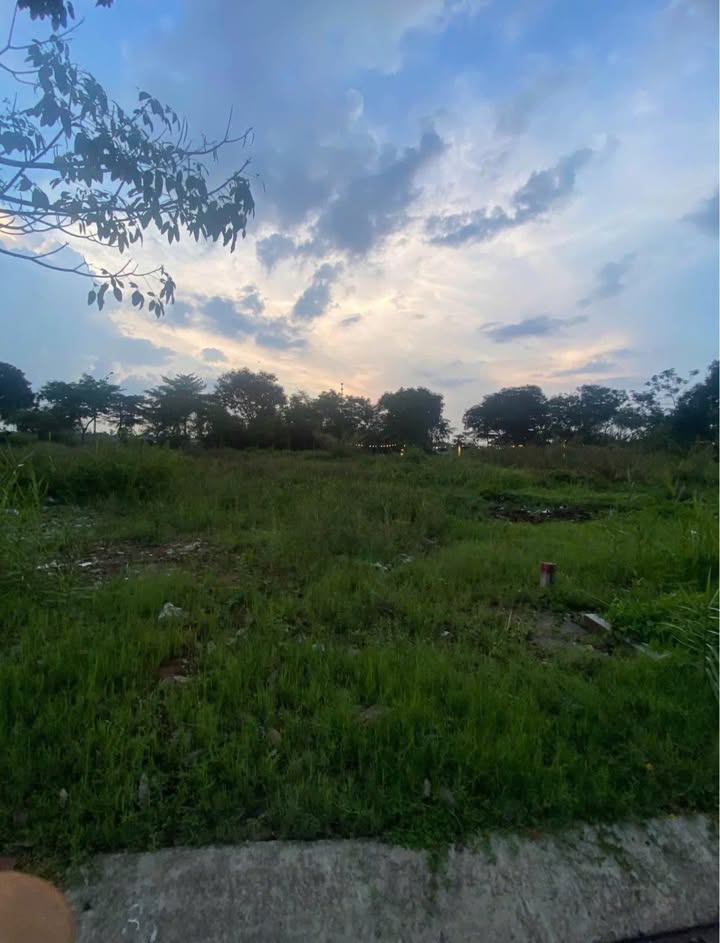 Đất nền Cần Đước Long An 100m² giá 720 triệu - Sổ đỏ chính chủ sẵn sàng sang tên!