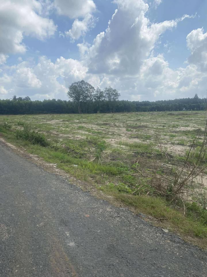 Đất nền Tân Lập - Tân Biên 16256m² giá 6.96 tỷ - Cơ hội đầu tư hiếm có!