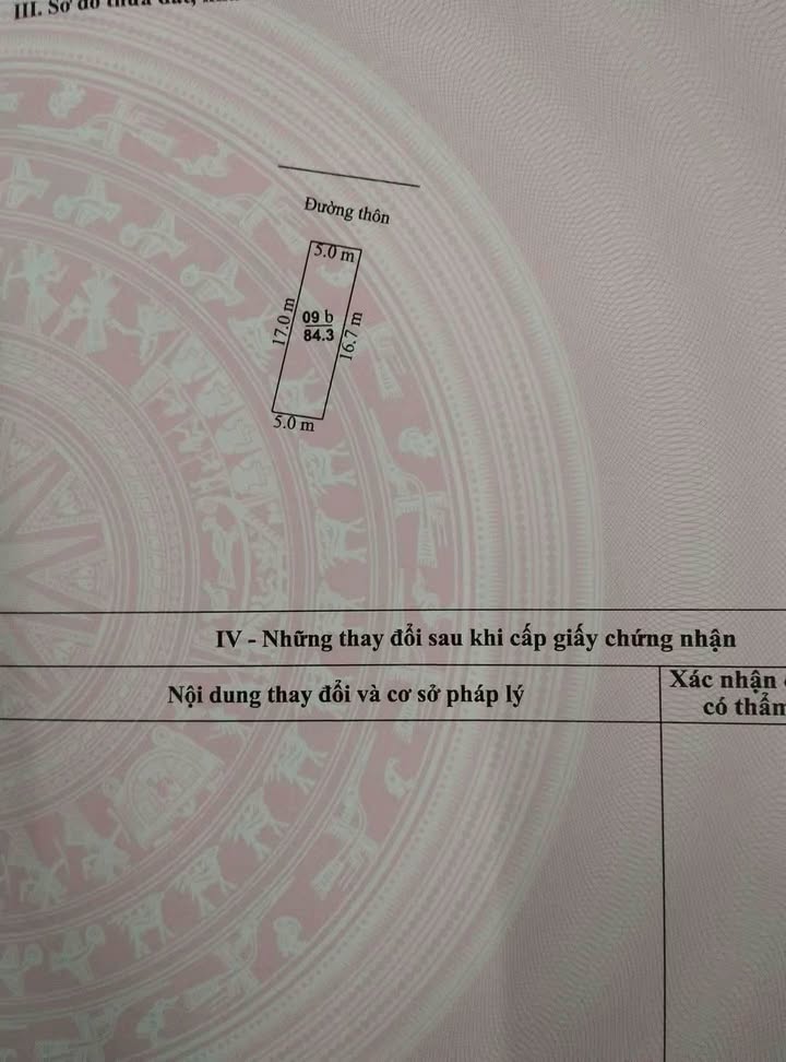 Đất thổ cư 84m² Đồng Quang, Gia Lộc - Giá chỉ 800 triệu, đầu tư sinh lời ngay!