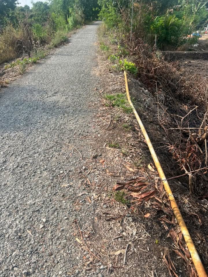 Đất nền Tân Phước 3, Tiền Giang 2000m² giá 700 triệu - Đường nhựa xe tải vào tận nơi!