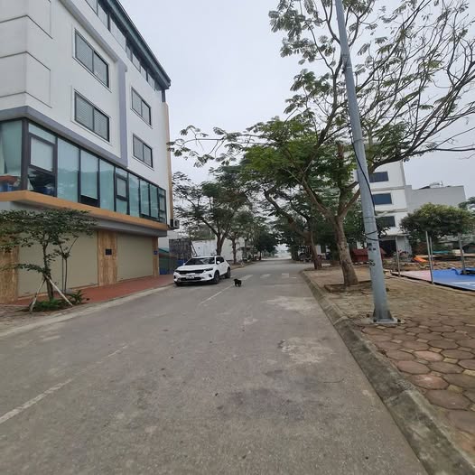 Đất góc 255m² tại Đông Dư, Gia Lâm giá 20 tỷ - Đầu tư sinh lời ngay!