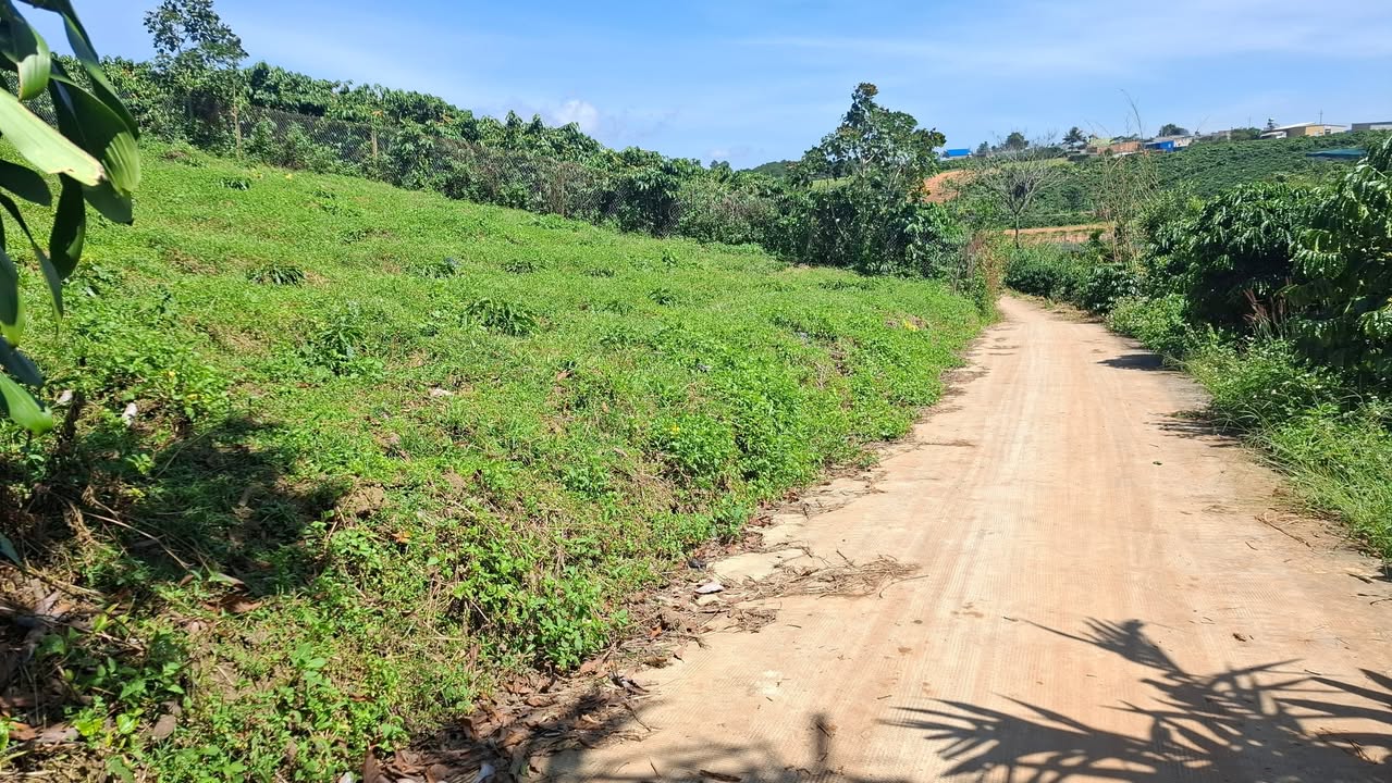 Đất Phúc Thọ Lâm Hà 1578m² giá 1.55 tỷ - Đầu tư sinh lời ngay!