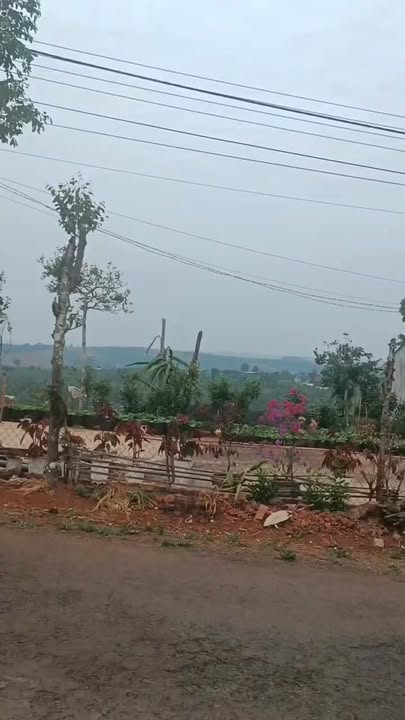 Đất nền Tân Lợi Đắk R'Lấp 200m² - Giá chỉ 1.4 tỷ, cơ hội đầu tư tuyệt vời!