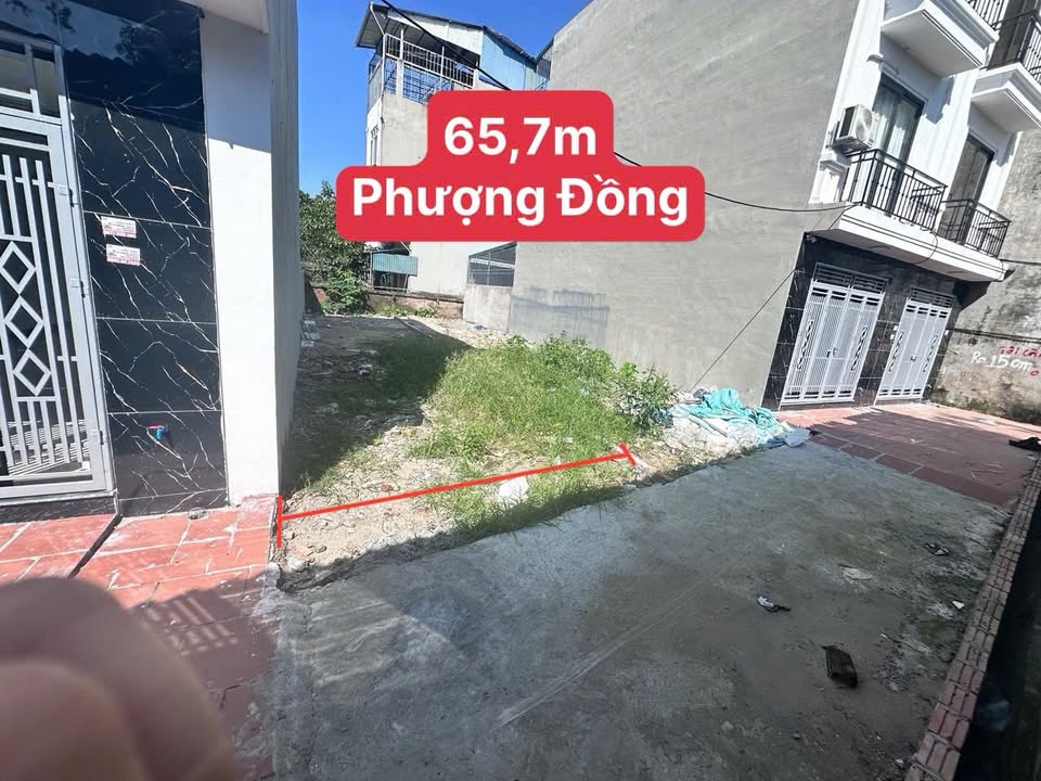 Đất Phụng Châu 65.7m² giá 2.9 tỷ - Đầu tư sinh lời nhanh chóng!