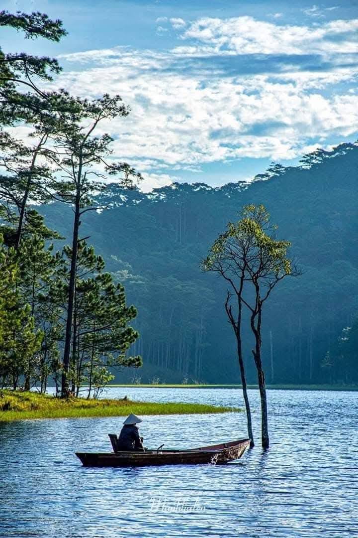 Đất lô góc 600m² đường Cây Giá Hạ, Hội An - Tặng biệt thự 2 tầng đẳng cấp chỉ 15.5 tỷ!