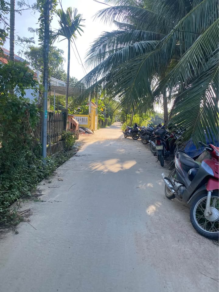 Đất Cẩm Thanh Hội An 105m² giá 2.35 tỷ - Gần phố cổ, vị trí đắc địa!