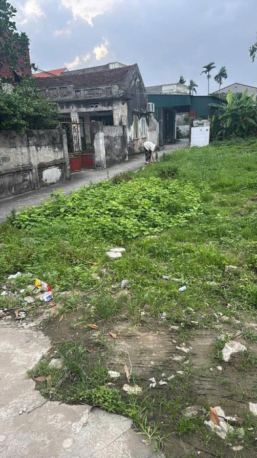 Đất nền lô góc 60m² tại khu Liễu Tràng - Giá chỉ 1.6 tỷ