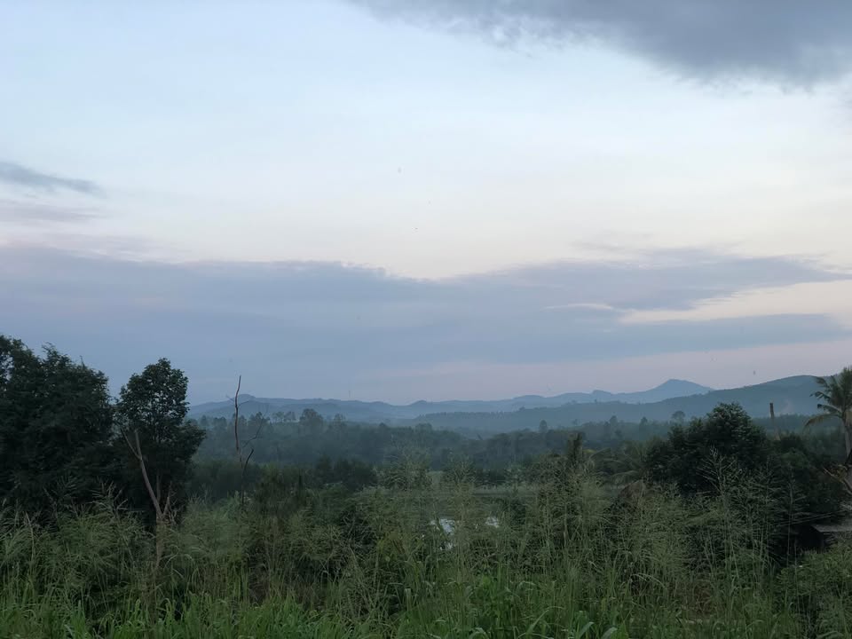 Đất thổ cư 425m² Sơn Thành Tây giá 400 triệu - Cơ hội đầu tư tuyệt vời!