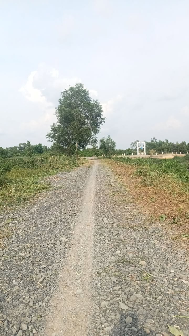 Đất vườn Thạnh Hòa Bến Lức 655m² giá 430 triệu - Đầu tư sinh lời tuyệt vời!