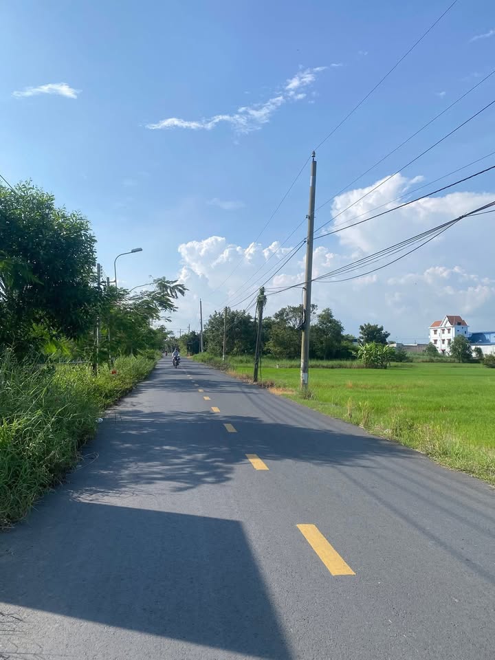 Đất mặt tiền đường 19/5, xã Tân Lân, huyện Cần Đước, 150m² giá 1.3 tỷ - Đầu tư sinh lời tốt!