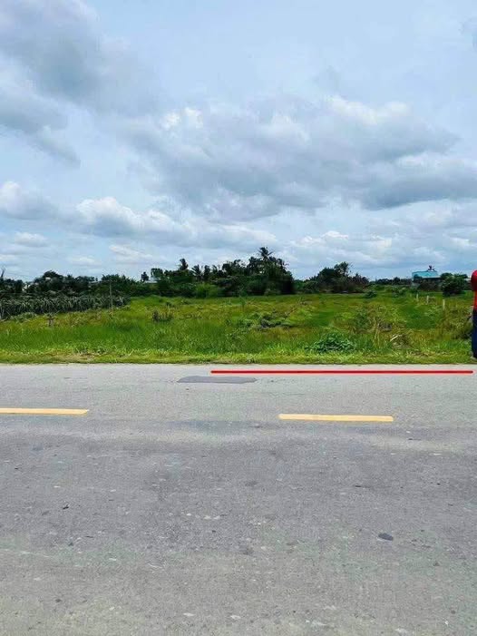 Đất thổ cư 205m² tại xã Thanh Phú Long, Châu Thành - Đường chính, sổ hồng riêng!