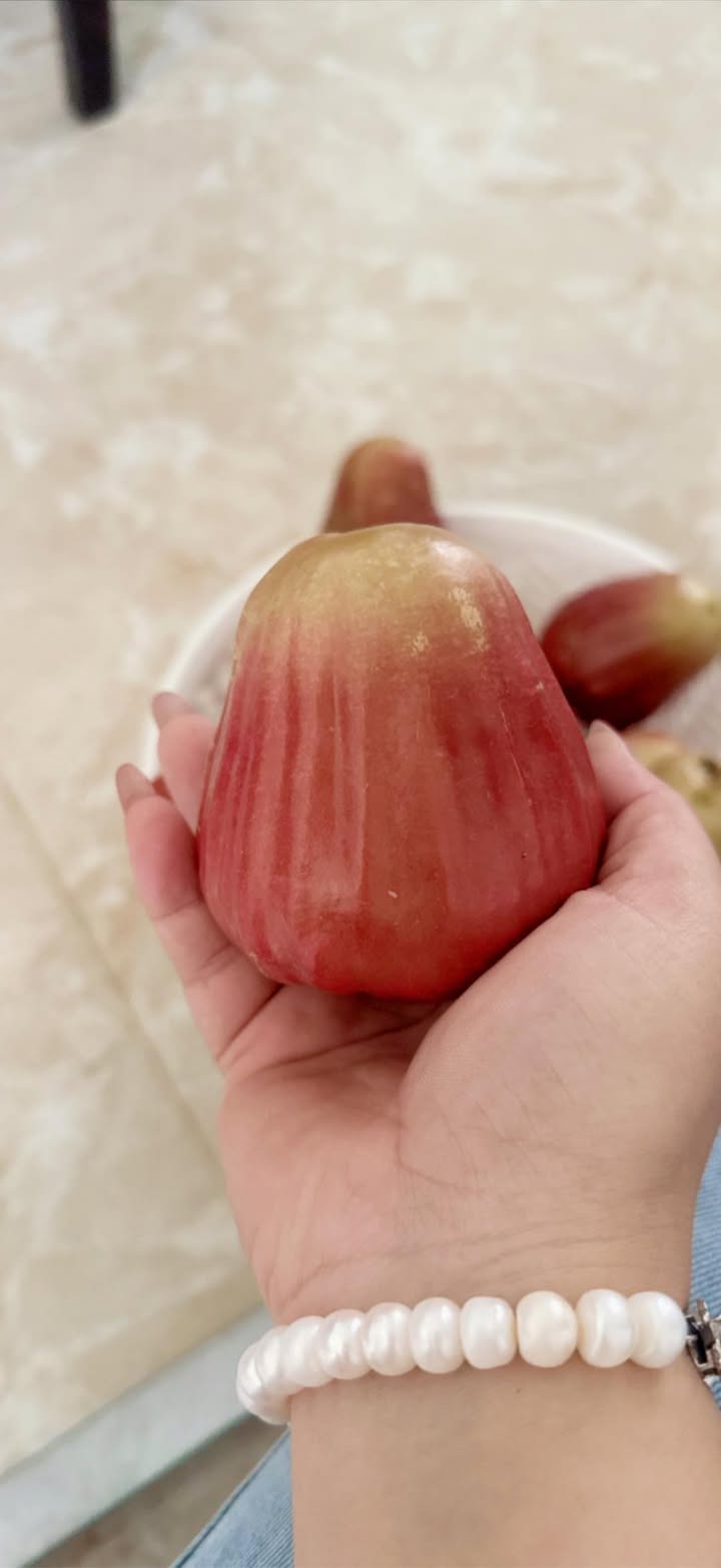 Đất nền Tường Lộc, Tam Bình, Vĩnh Long 482m² - View sông thoáng mát, thích hợp nghỉ dưỡng!