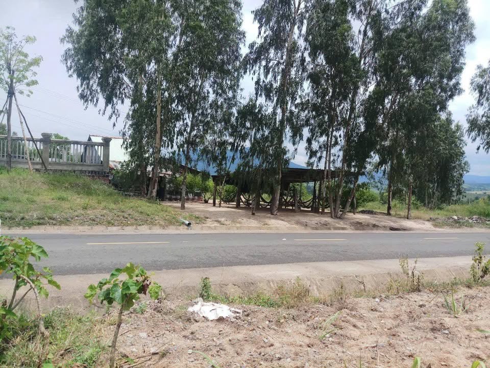 Bán lô đất góc Quốc Lộ 29, Đức Bình Tây 758m² - Cơ hội đầu tư tuyệt vời!