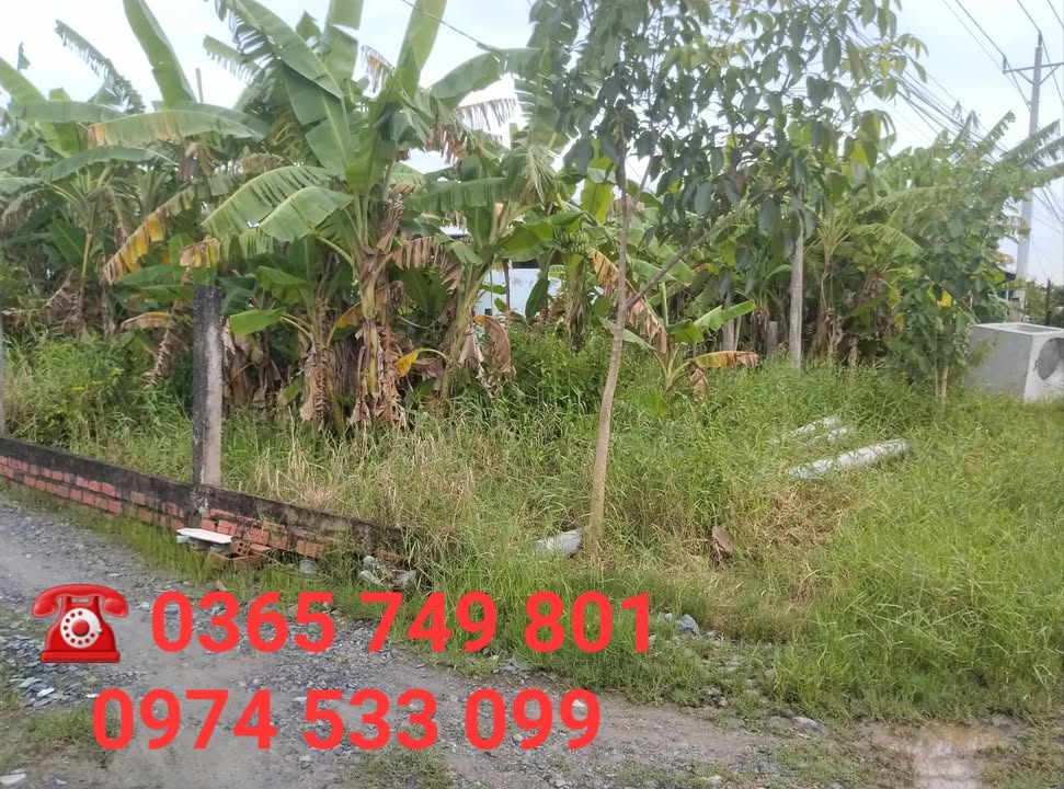 Đất nền mặt tiền xã Thạnh Trị, 1288m² giá 1.89 tỷ - Cơ hội đầu tư tuyệt vời!