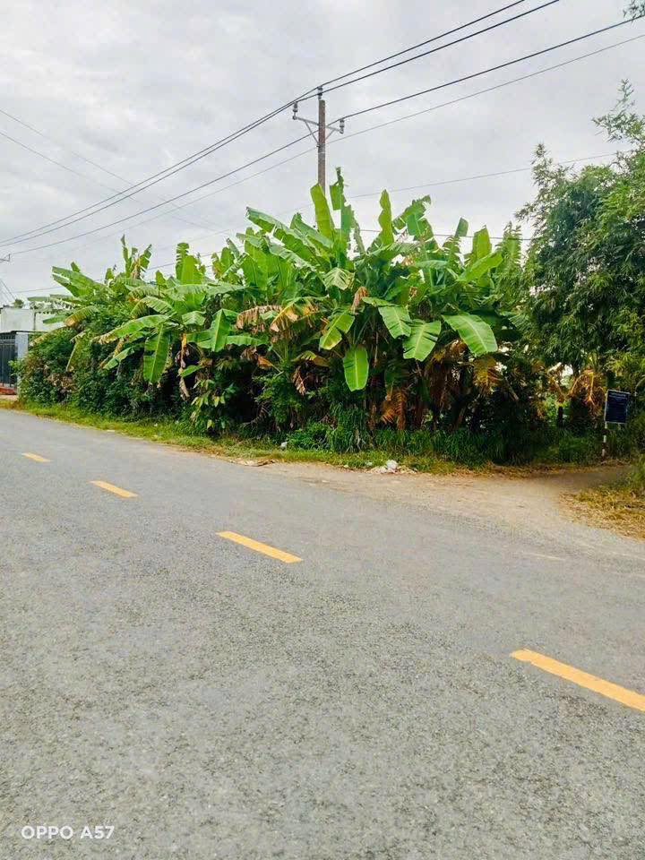 Đất mặt tiền Bắc Nam, xã Thạnh Trị, Bến Tre 572m² giá 5 tỷ - Thuận lợi kinh doanh!