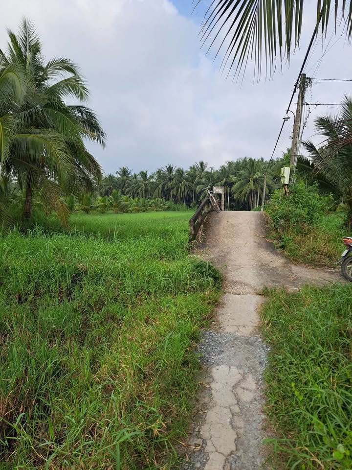 Đất nền Bến Tre 2600m² giá 864 triệu - Đầu tư sinh lời tuyệt vời!