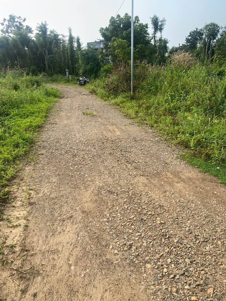 Đất nền 2 sào 3 tại xã Kim Long, Bà Rịa - Vũng Tàu giá 2.3 tỷ - Phong thủy tốt, tiện ích đầy đủ!