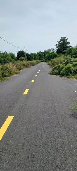 Đất nền xã Phước Hải, Đất Đỏ 184m² giá 2.3 tỷ - Gần biển nghỉ dưỡng!