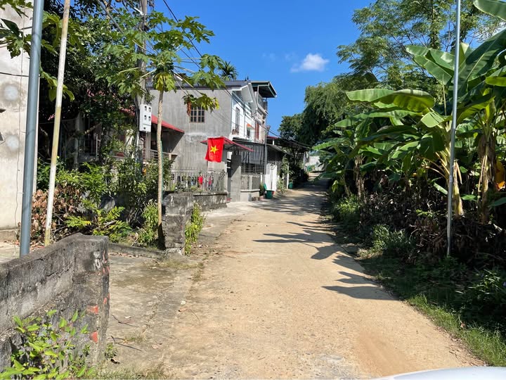 Đất chính chủ thôn 3 Lưỡng Vượng Tuyên Quang 250m² giá 1.3 tỷ - Gần mặt đường ô tô đỗ cửa!