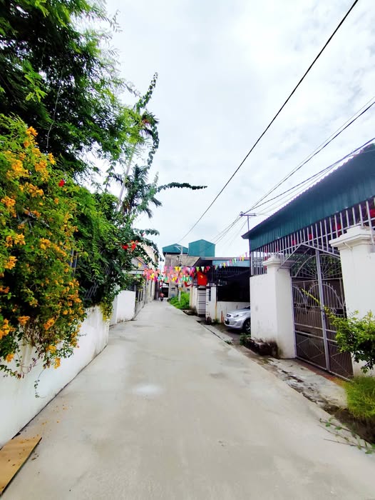 Đất mặt đường khu An Hải - Phương Nam 81m² giá 1,1 tỷ - Cơ hội vàng cho đầu tư!