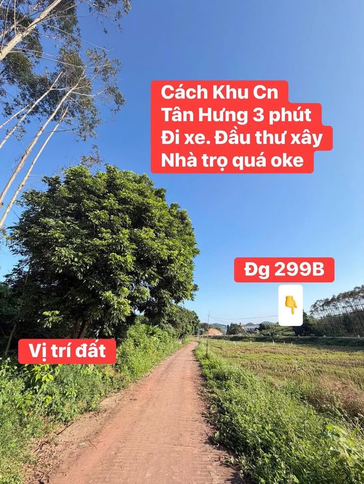 Đất nền Tân Hưng 250m² giá 700 triệu - Cơ hội đầu tư sinh lời lớn!