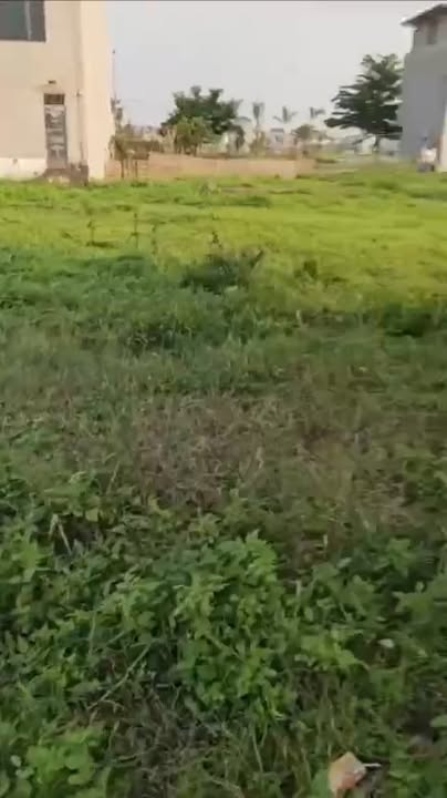 Đất nền Thị trấn Thắng Hiệp Hòa 120m² giá 2.9 tỷ - Đầu tư sinh lời lý tưởng!