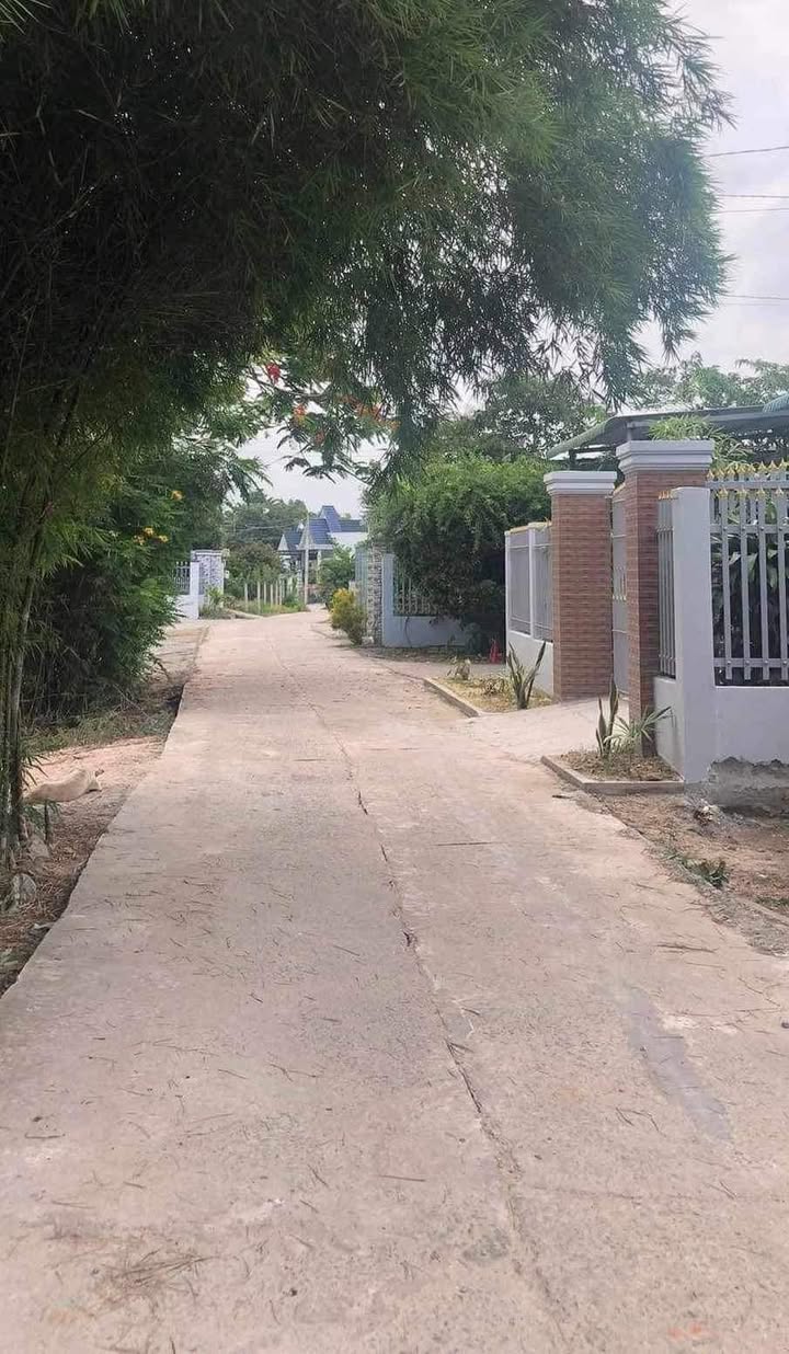 Đất nền Nguyễn Trãi, La Gi 252m² giá 900 triệu - Cơ hội đầu tư tuyệt vời!