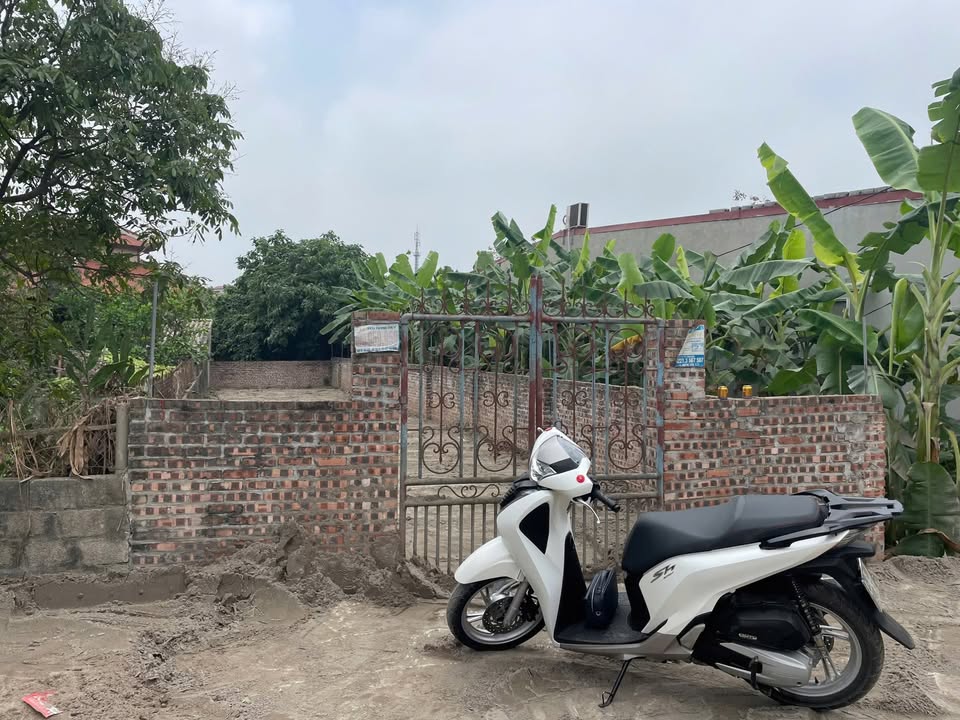 Mảnh đất 150m² mặt đường tỉnh 377 - Cơ hội đầu tư sinh lời tại Hoàn Long