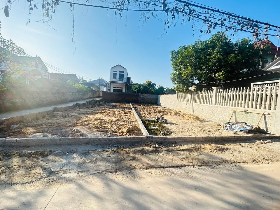 Đất nền Lục Nam Bắc Giang 130m² giá 1 tỷ - Kinh doanh ngay tại trục chính