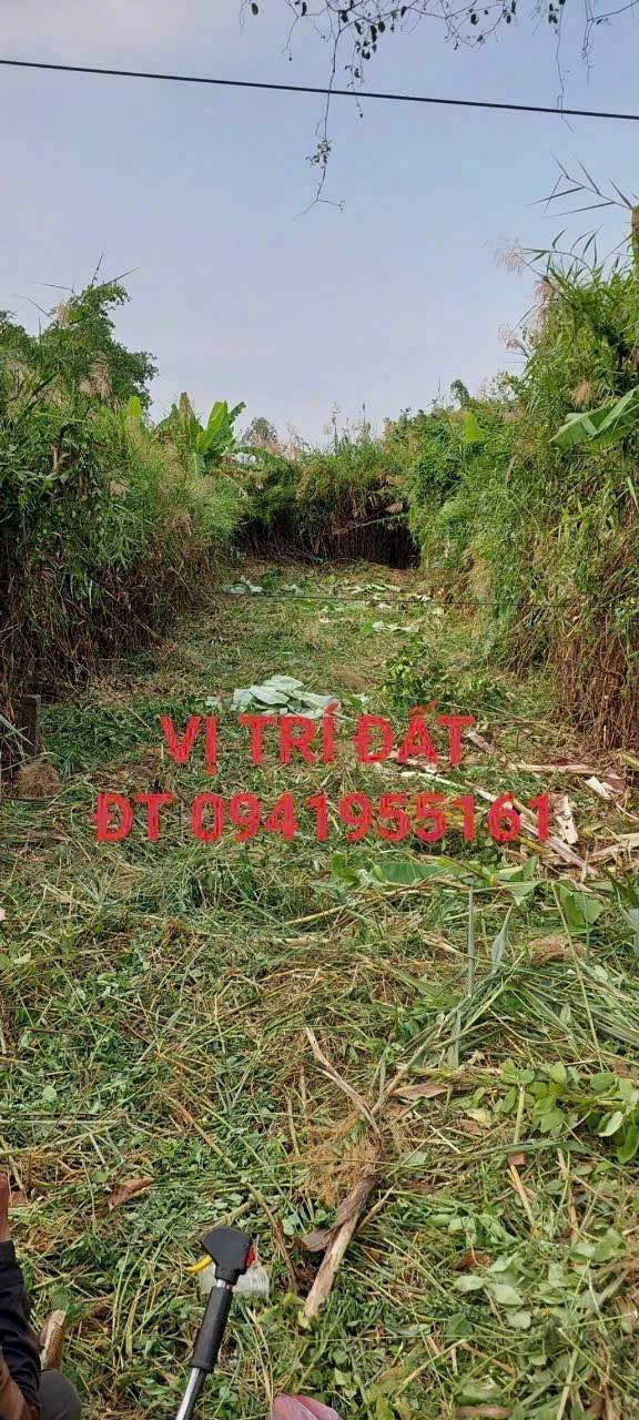 Đất nền 190m² đường Bùi Viện, Rạch Giá - Cơ hội đầu tư vàng giá 890 triệu!