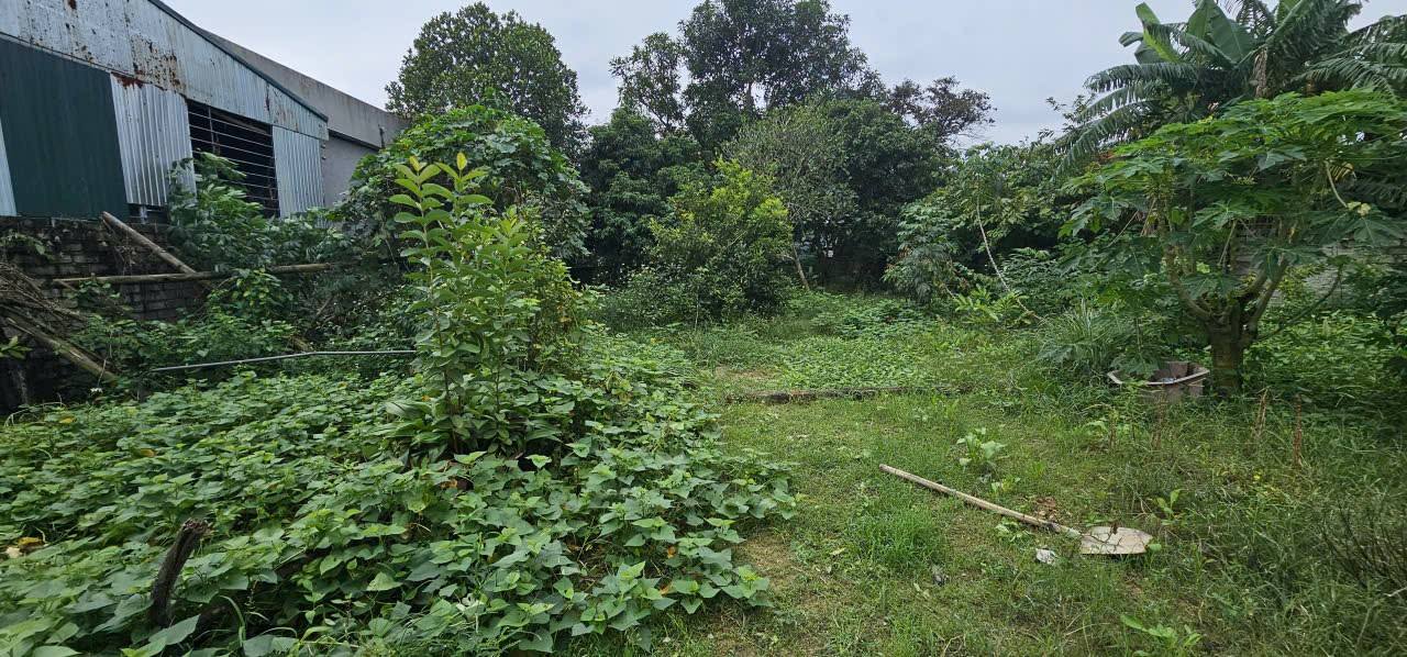 Đất thổ cư Đông Minh Đông Sơn 612m² giá chỉ 4 triệu/m² - Đầu tư lý tưởng!