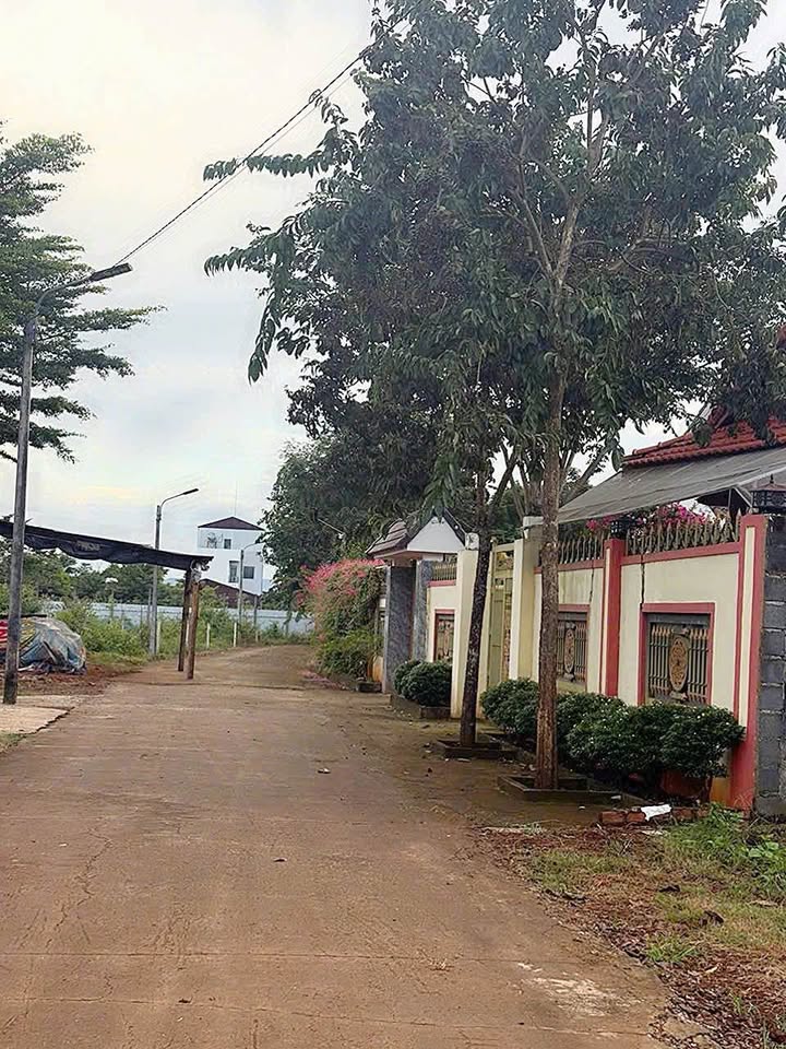 Đất nền Hẻm 03 Võ Văn Kiệt, Ea Tam, 115m² giá 1.09 tỷ - Cơ hội đầu tư sinh lời!