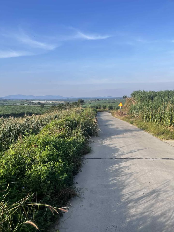 Đất nông nghiệp M'Đrắk 10ha giá 5.5 tỷ - Sổ hồng chính chủ, mặt đường bê tông 100m!