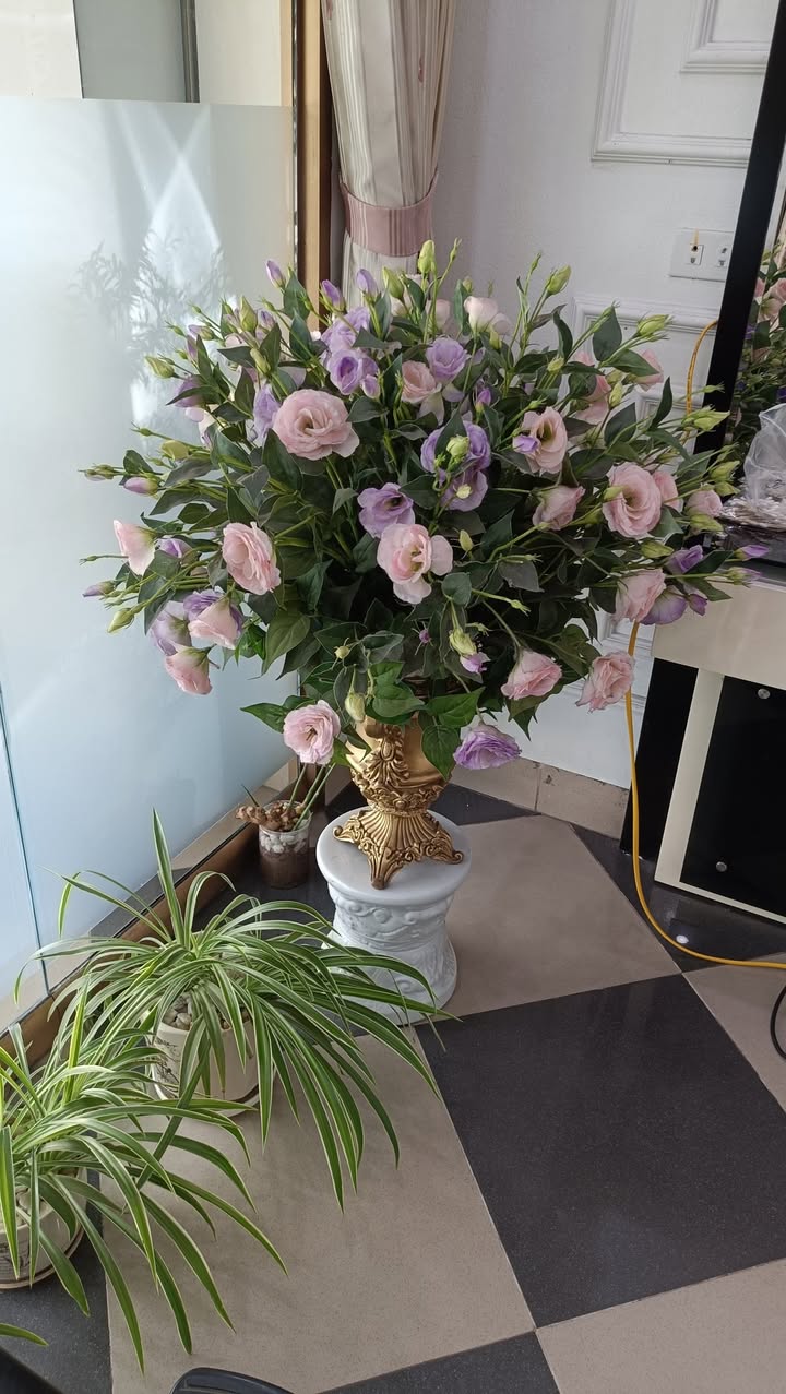 Đất nền Ninh Bình 287m² giá thỏa thuận - Mặt tiền đẹp, gần KDL Tam Cốc!