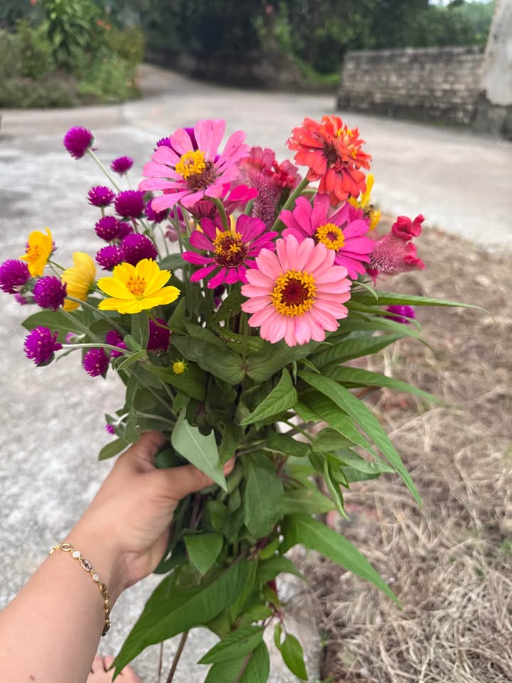 Đất thổ cư 100m² tại Đồng Kỳ, Yên Thế, 2500m² - Giá đầu tư hấp dẫn 1.7 tỷ!