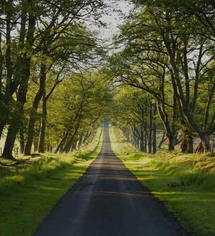 Nhà mặt tiền Trần Hưng Đạo, Quy Nhơn 158.6m² giá 15 tỷ - Kinh doanh ngay!