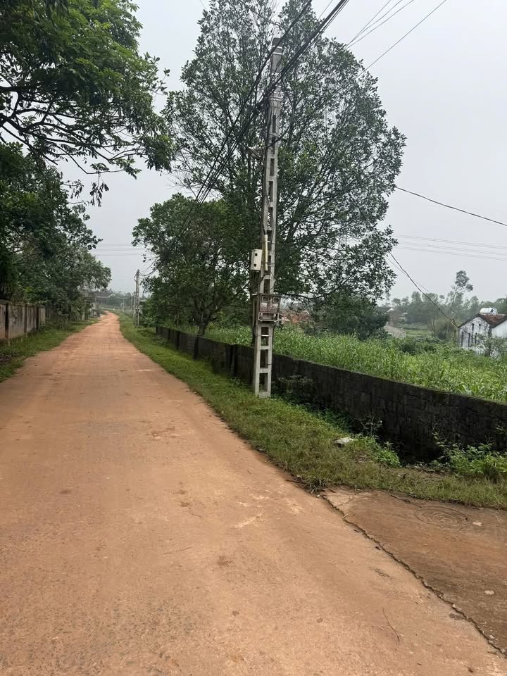 Đất nền Đại Sơn, Đô Lương 174m² giá 500 triệu - Đường thông thoáng, gần khu công nghiệp!