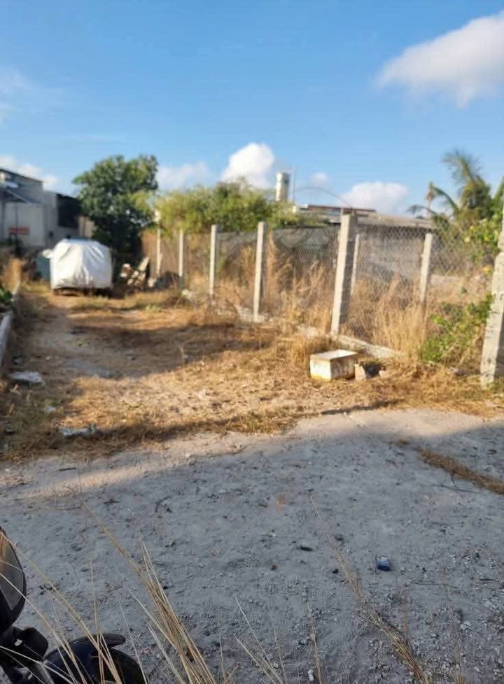 Đất nền chính chủ Khu phố 3, Bình Tân - 90m² giá chỉ 900 triệu - Đầu tư sinh lời ngay!